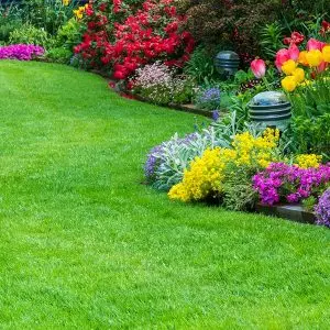 garden-maintenance garden-maintenance