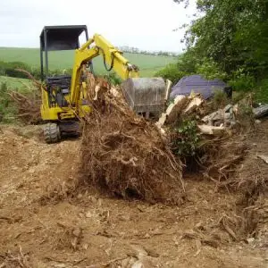 site-clearance site-clearance