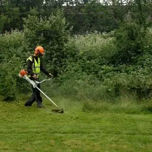 garden-maintenance-ipswich garden-maintenance-ipswich